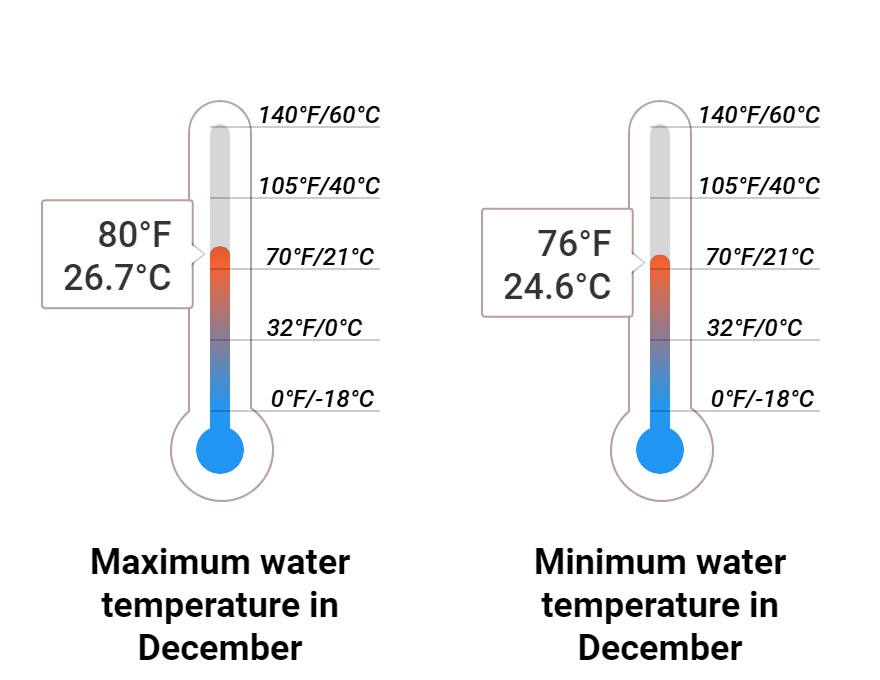 Average Sea temperature